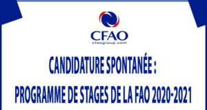 Candidature spontanée : Programme de Stages de la FAO 2020-2021