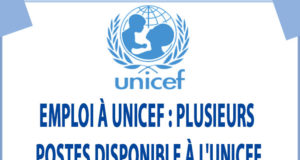 Emploi à UNICEF : Plusieurs Postes disponible à l'UNICEF